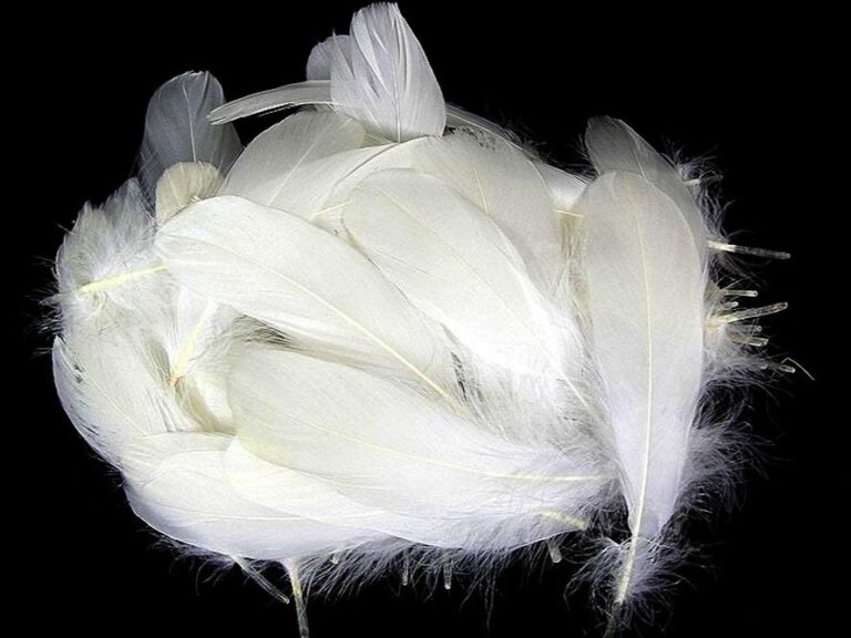 Decorative Feathers WHITE