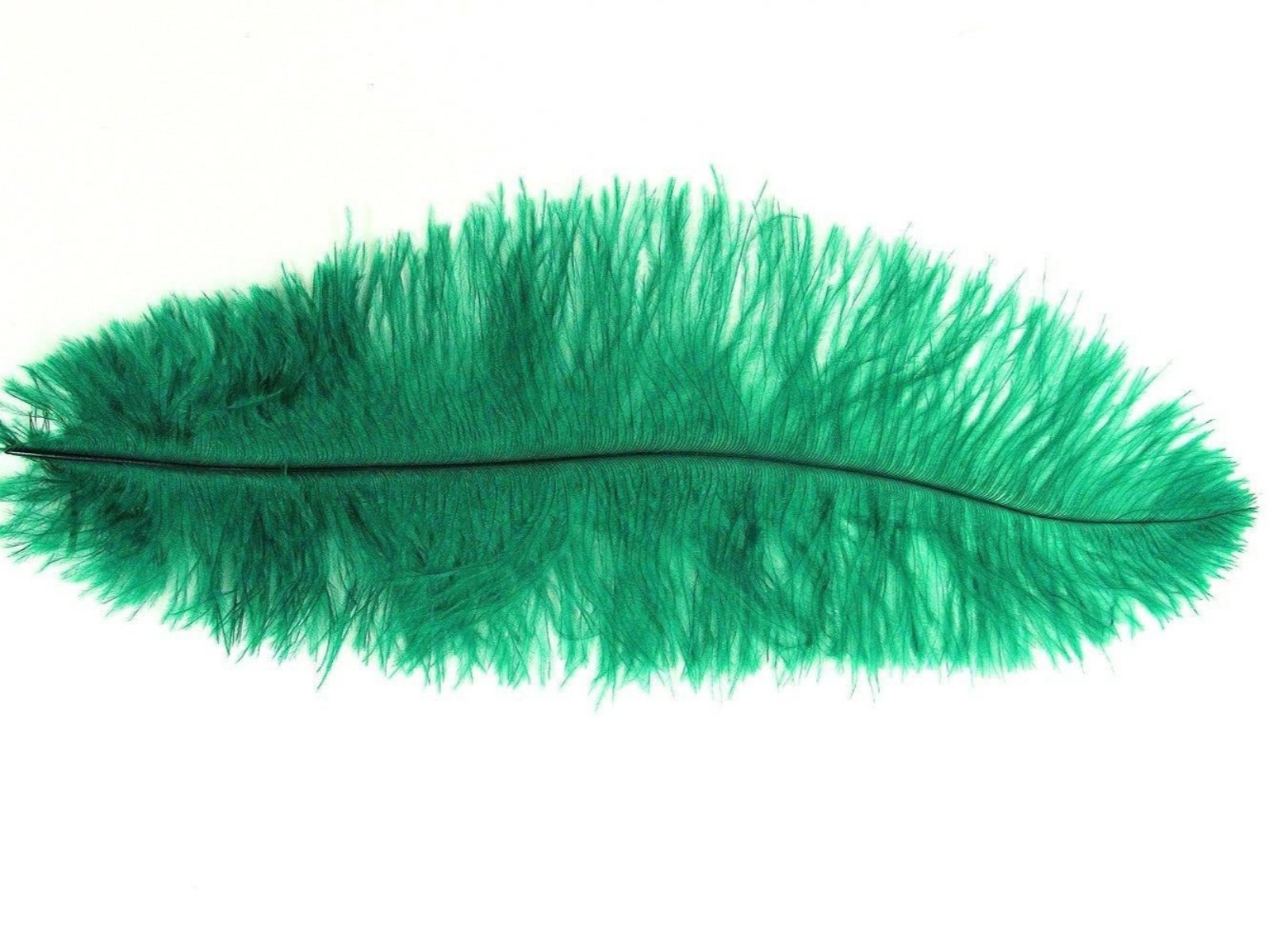 Decorative Feathers