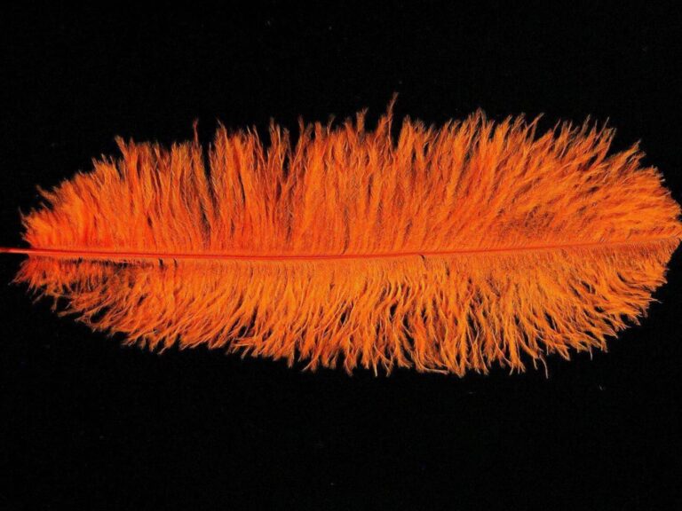 Decorative Feathers ORANGE
