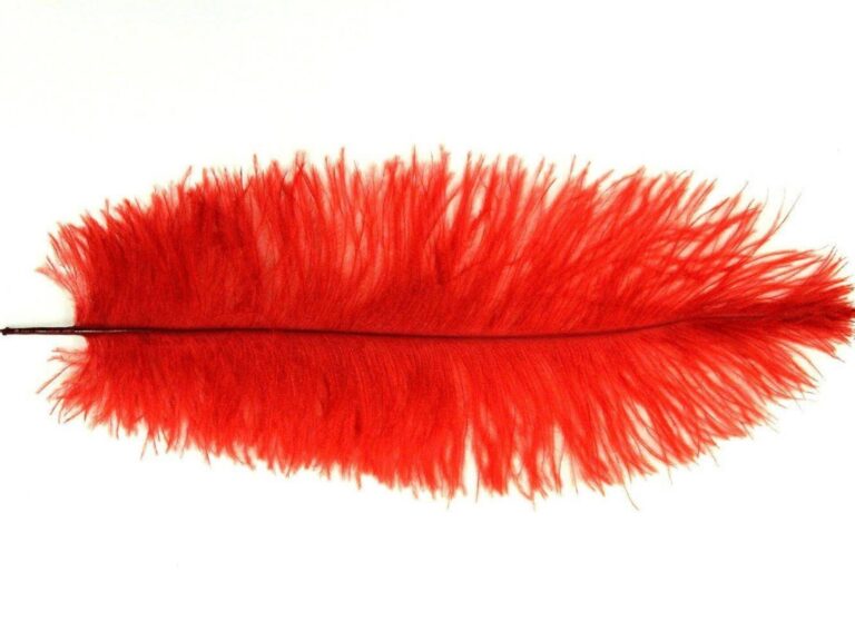Decorative Feathers RED