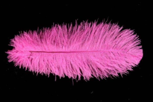 Decorative Feathers