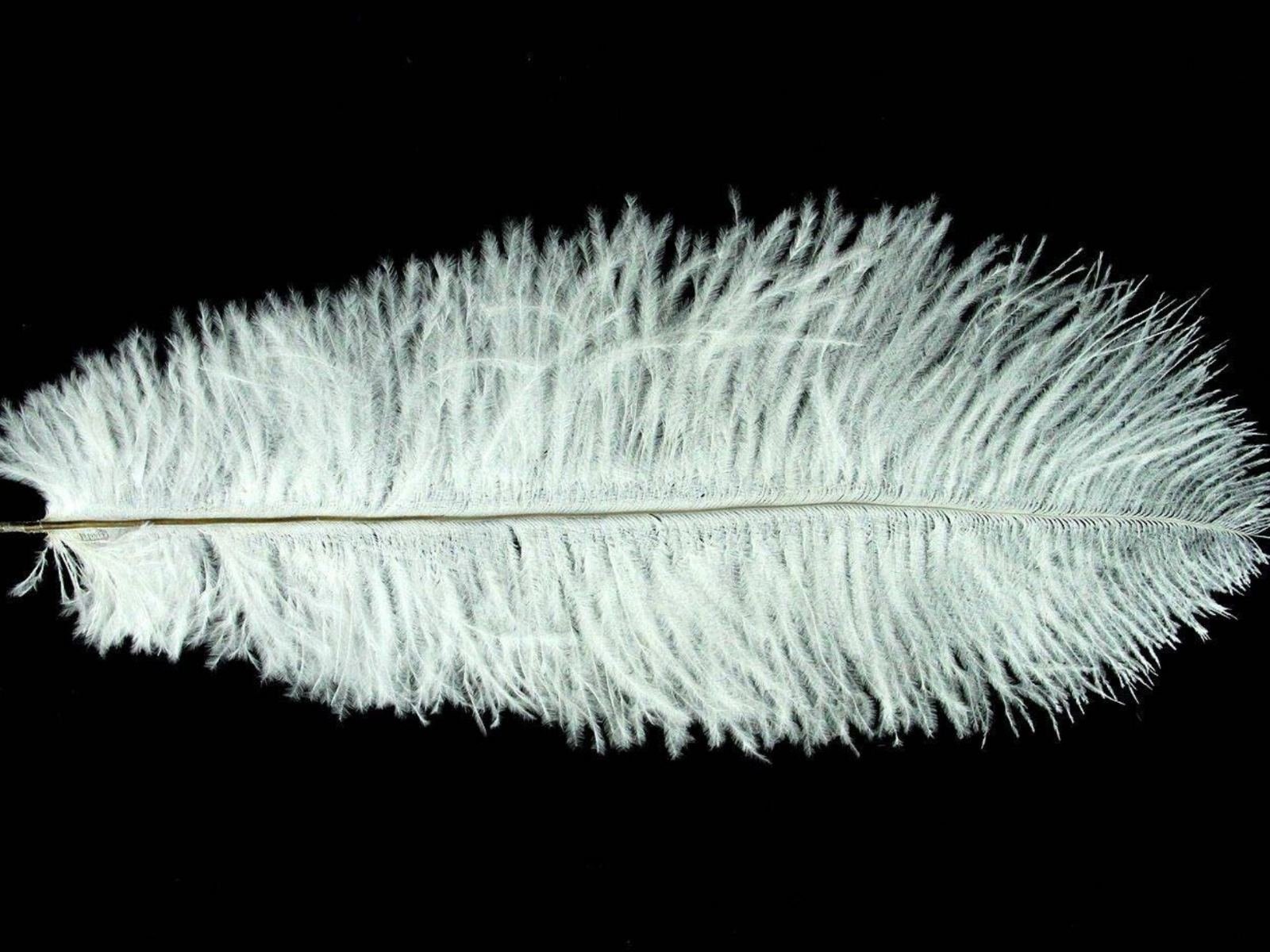 Decorative Feathers