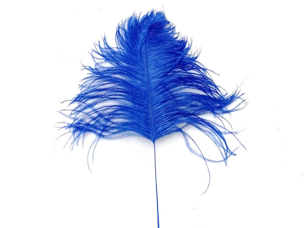 Decorative Feathers