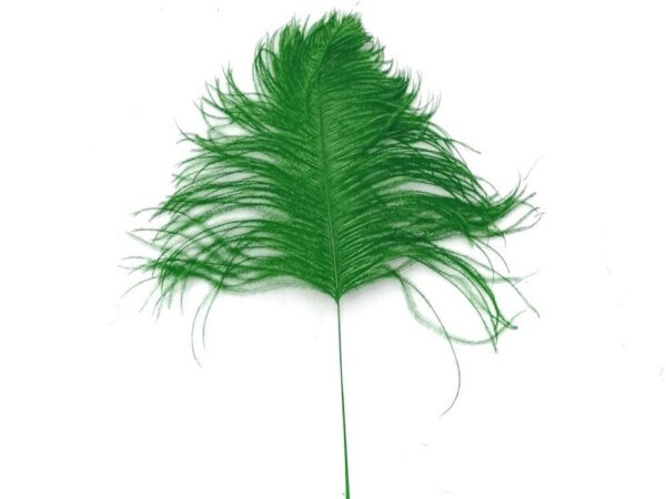 Decorative Feathers