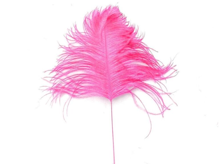 Decorative Feathers FUCHSIA PINK/ELECTRIC PINK