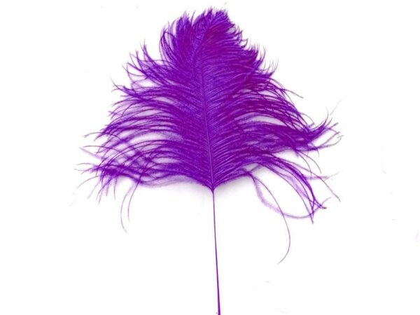 Decorative Feathers