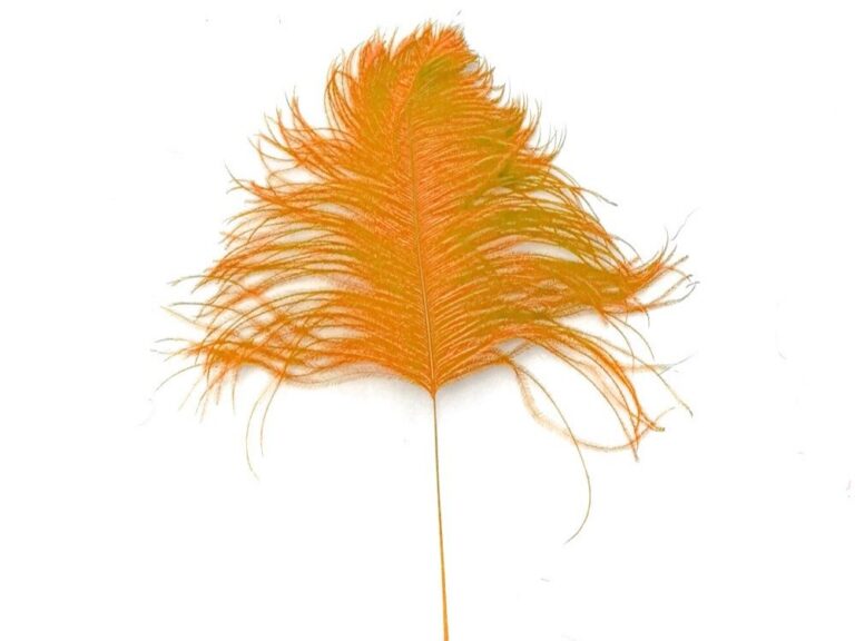 Decorative Feathers ORANGE