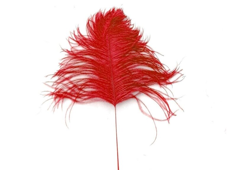 Decorative Feathers RED