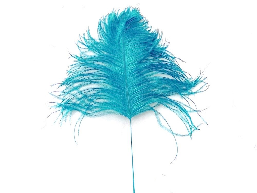 Decorative Feathers