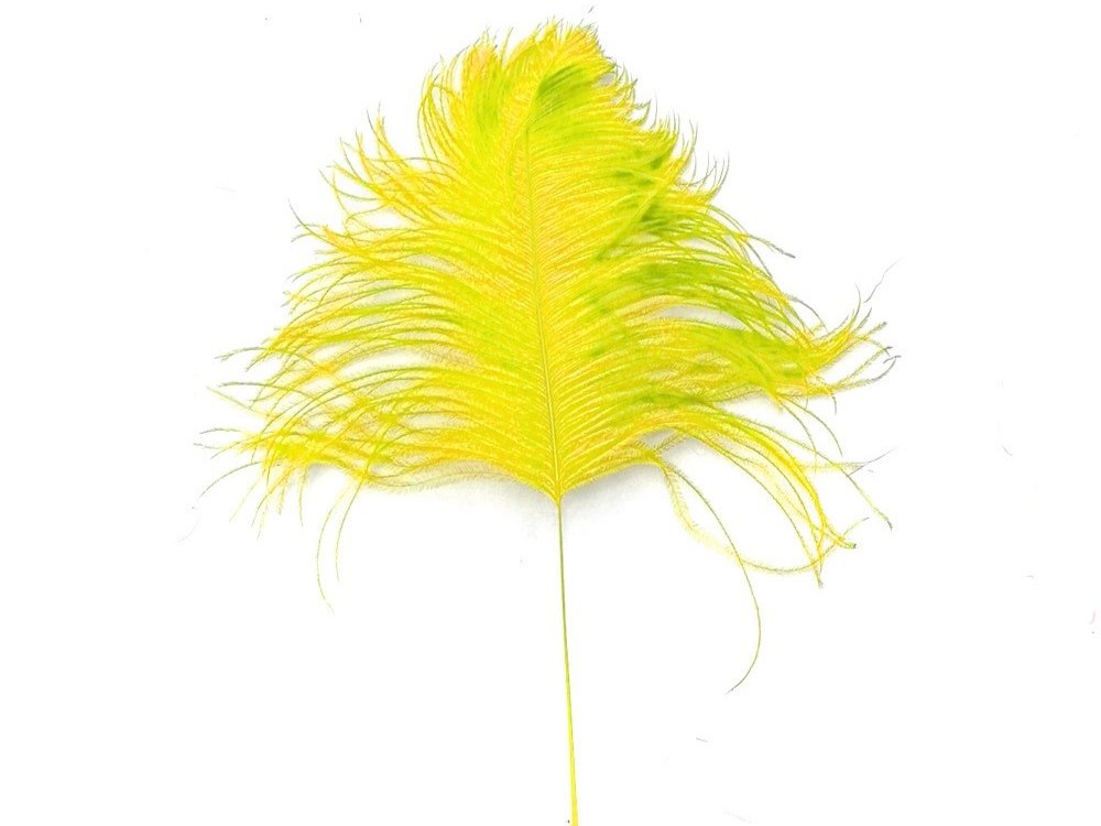 Decorative Feathers