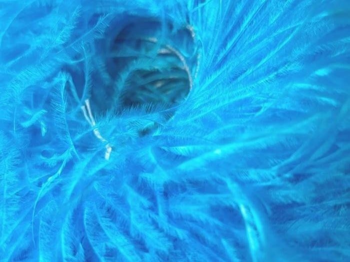 Ostrich Feather Fringe Trim - BLUE PARADISE