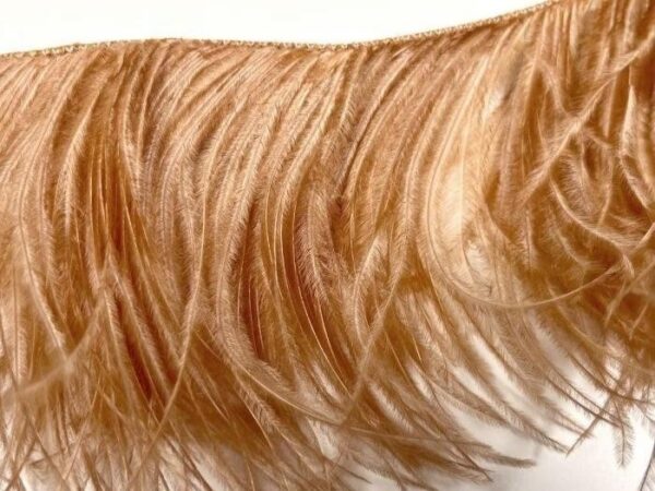 Ostrich Feather Fringe Trim