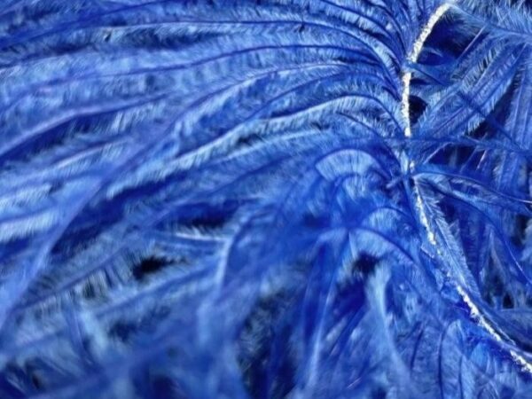 Ostrich Feather Fringe Trim