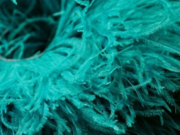 Ostrich Feather Fringe Trim
