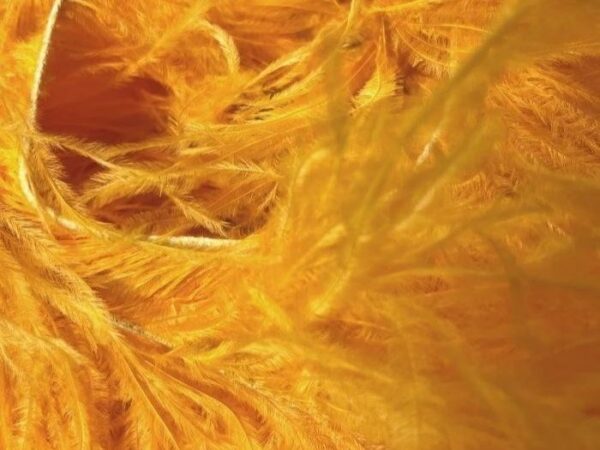 Ostrich Feather Fringe Trim