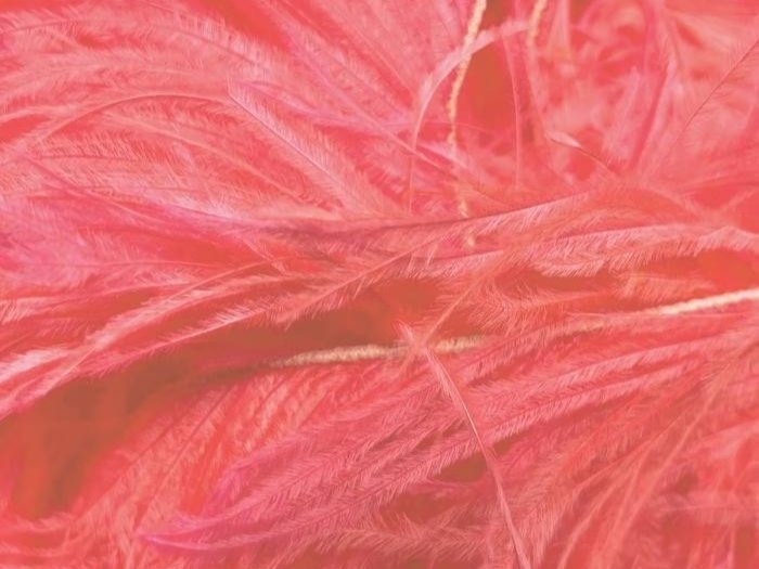 Ostrich Feather Fringe Trim SALMON