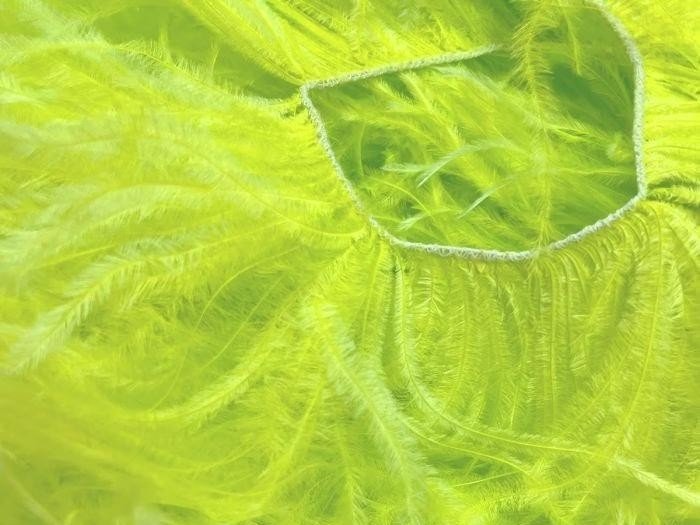 Ostrich Feather Fringe Trim TROPIC LIME