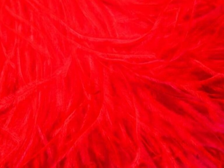 Pure Ostrich Feather Boa Lux 6 Ply FLUORESCENT RED