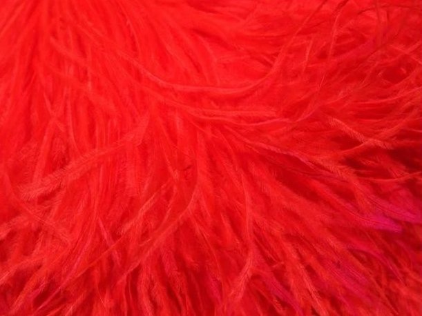 Pure Ostrich Feather Boa Lux 6 Ply HOT RED