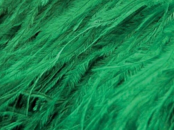 Pure Ostrich Feather Boa Lux 6 Ply