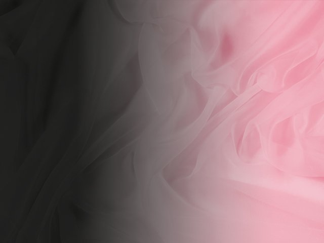 Shading On Georgette - Chrisanne Clover SUGAR PINK/BLACK
