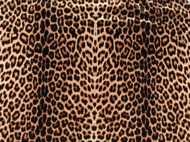 Print On Lycra ANIMAL PRINT
