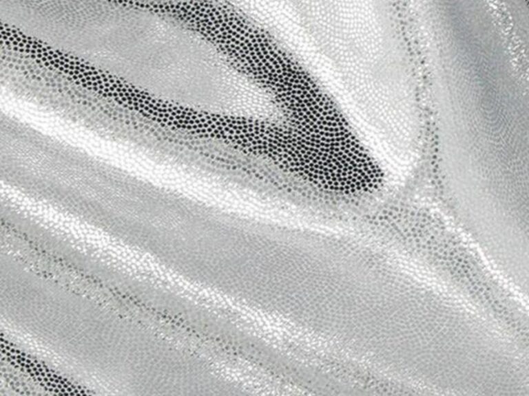 Lycra Metallic Dot - Astella - SILVER/WHITE