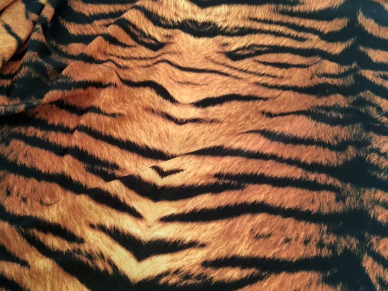 Print On Lycra GOLD/BLACK