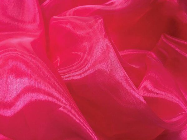 Organza - Chrisanne Clover