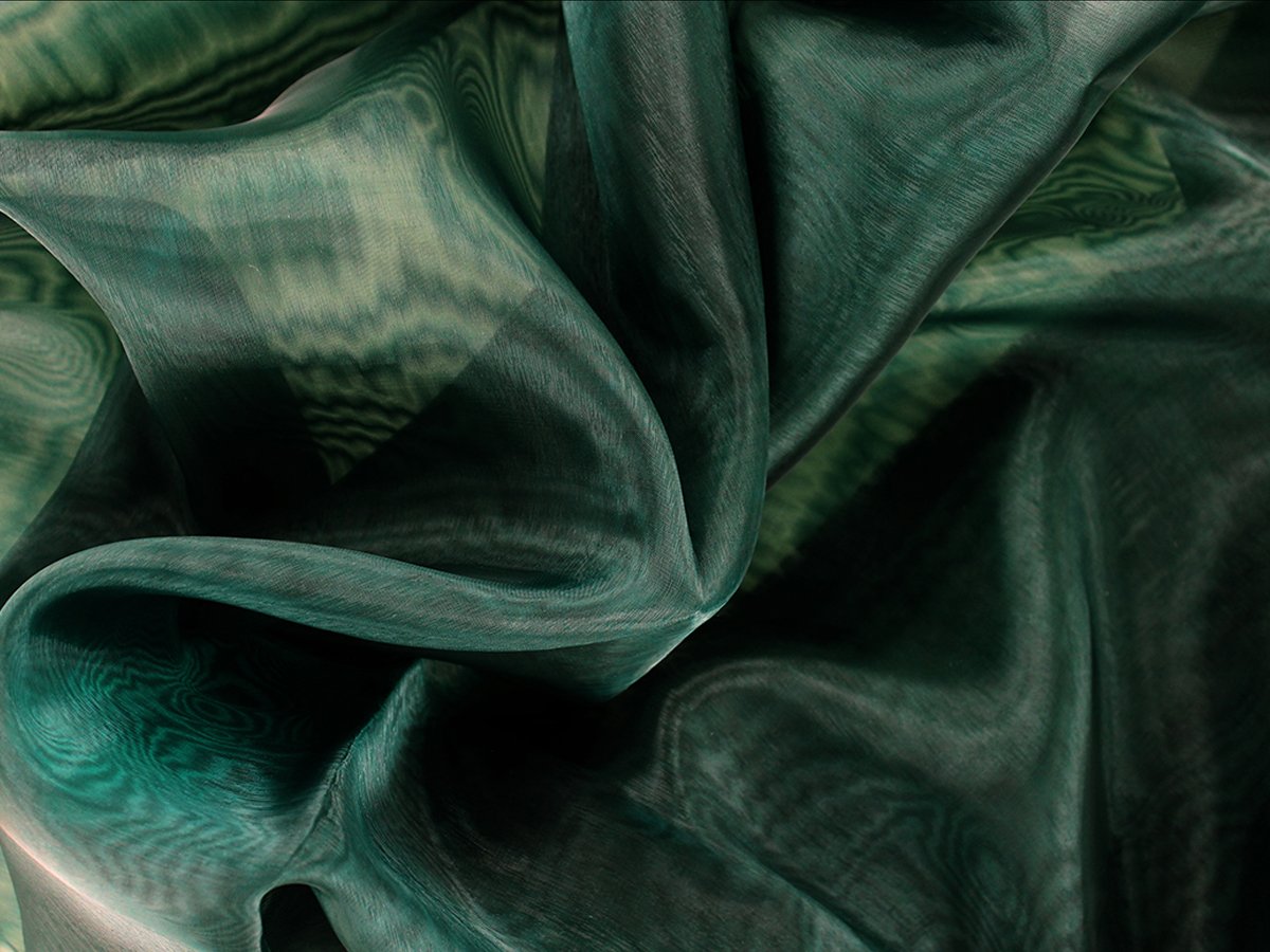 Organza - Chrisanne Clover