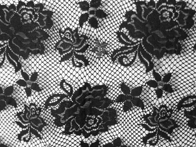 Rose Stretch Lace - BLACK