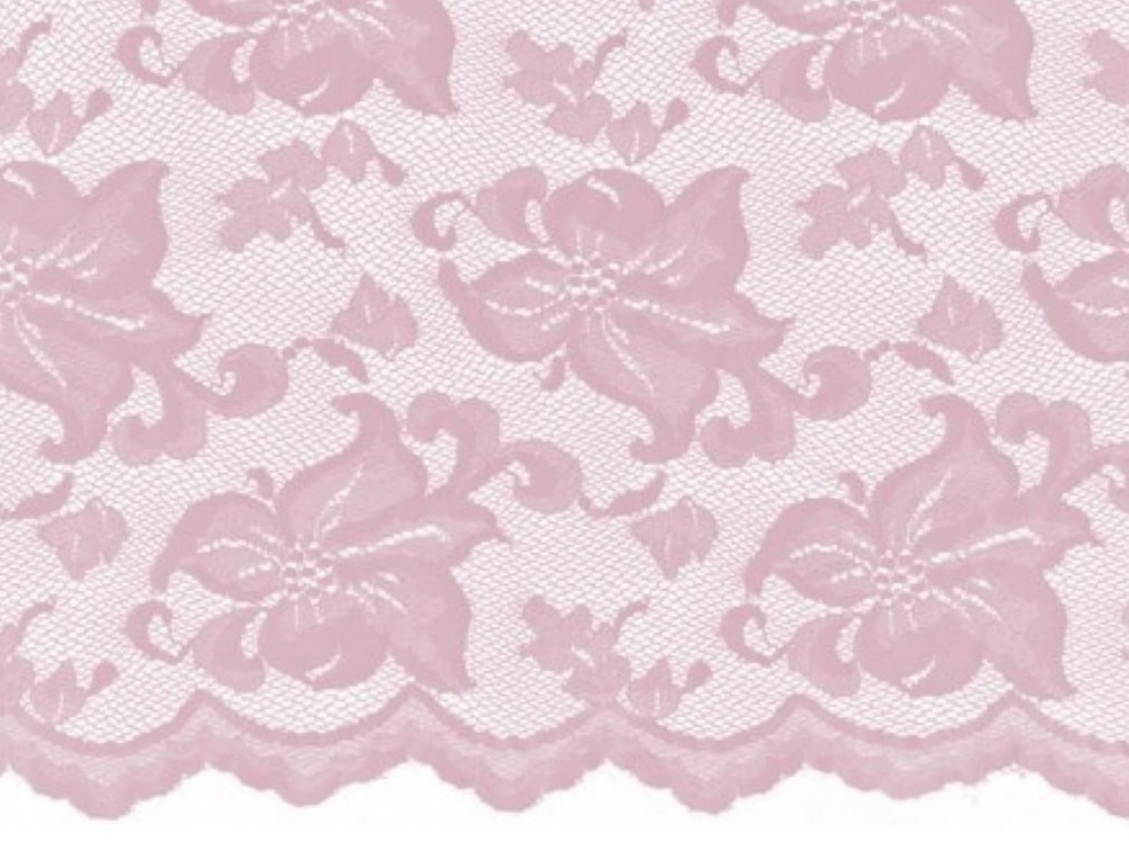 Lily Stretch Lace