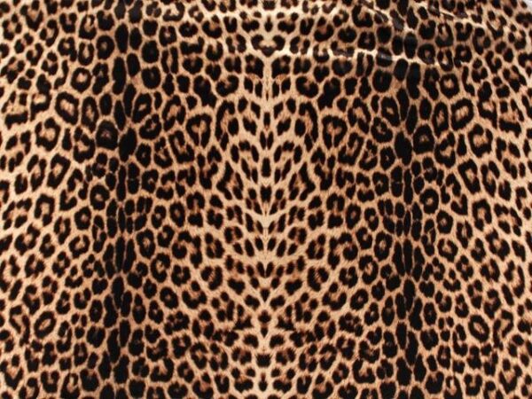 Stretch Velvet Print