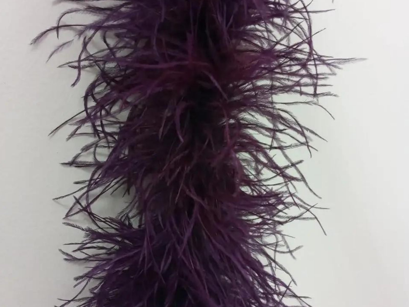 Ostrich Feather Boa 4 Ply