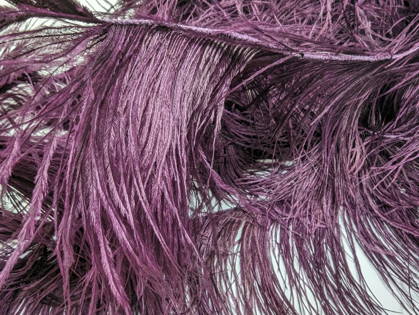 Ostrich Feather Fringe Trim 12-15 Cm